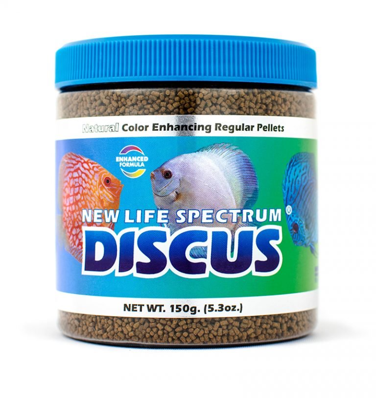 New Life Spectrum Discus form | Marine Life