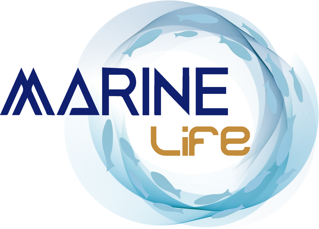 Marine Life | Marine Life